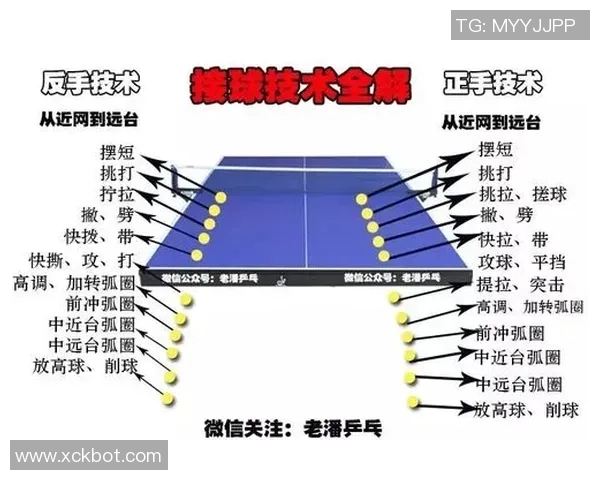 成都乒乓球队的阵地战揭秘：深度解析乒乓球的战术与技巧