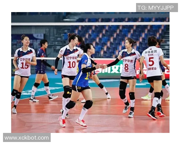 成都排球队进攻策略全解析深度探讨排球技战术的魅力与挑战