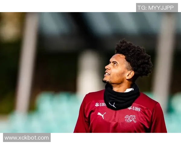 探索瑞士足球明星的辉煌成就与影响力解析