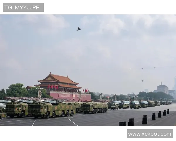 武汉排球队的奋斗历程与荣耀时刻全景纪实