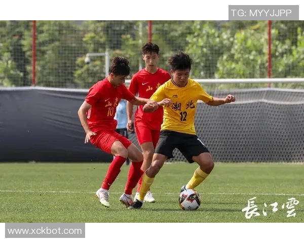 武汉足球队全运会之路：从默默无闻到荣耀绽放的奋斗历程