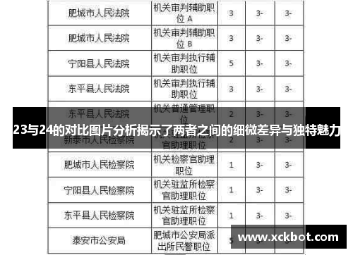23与24的对比图片分析揭示了两者之间的细微差异与独特魅力